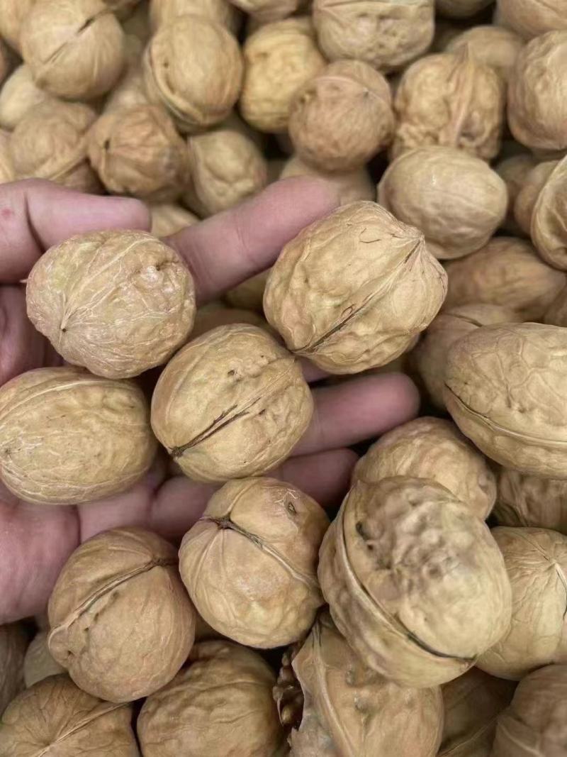 新疆阿克苏薄皮核桃中果，大果原色原味，现货供应电商货源