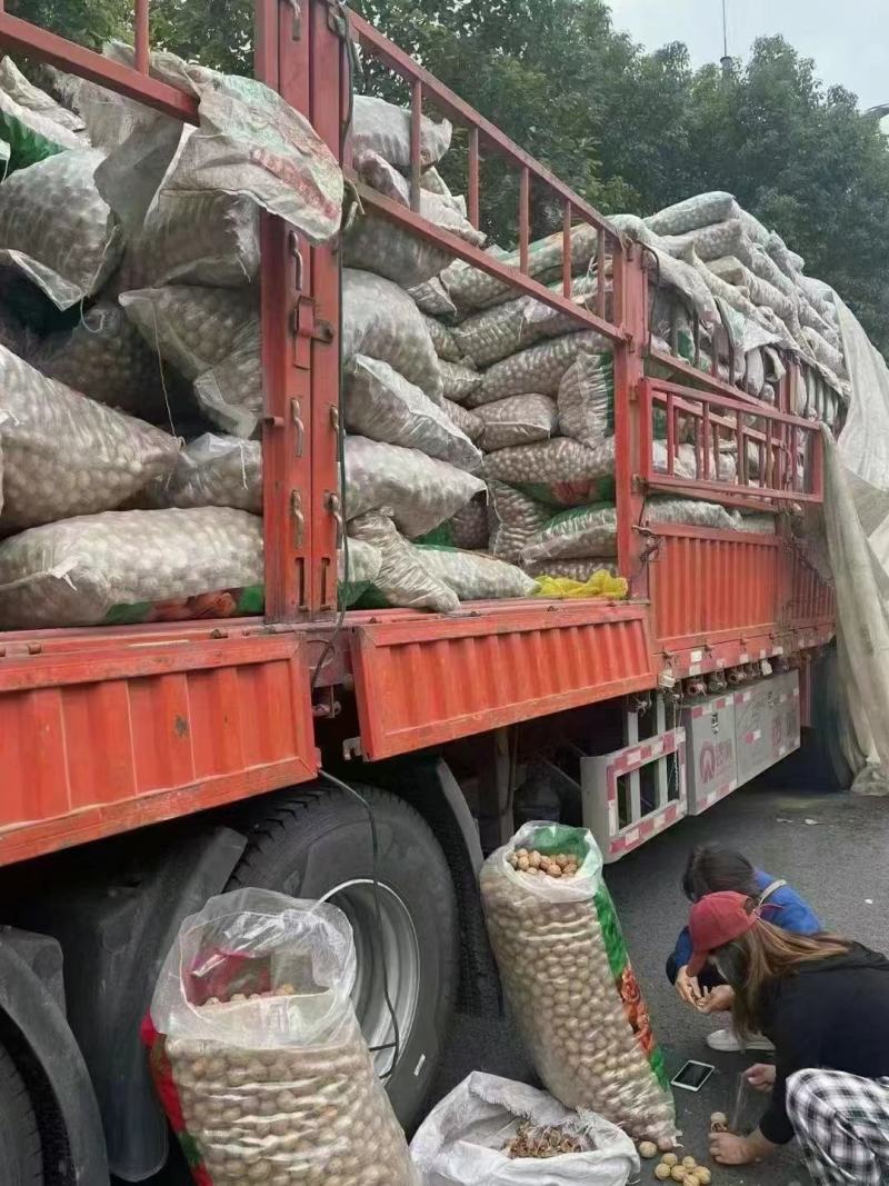 新疆阿克苏薄皮核桃中果，大果原色原味，现货供应电商货源