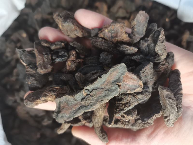 中药材生地黄河南焦作正宗生地黄生地熟地生地片批发