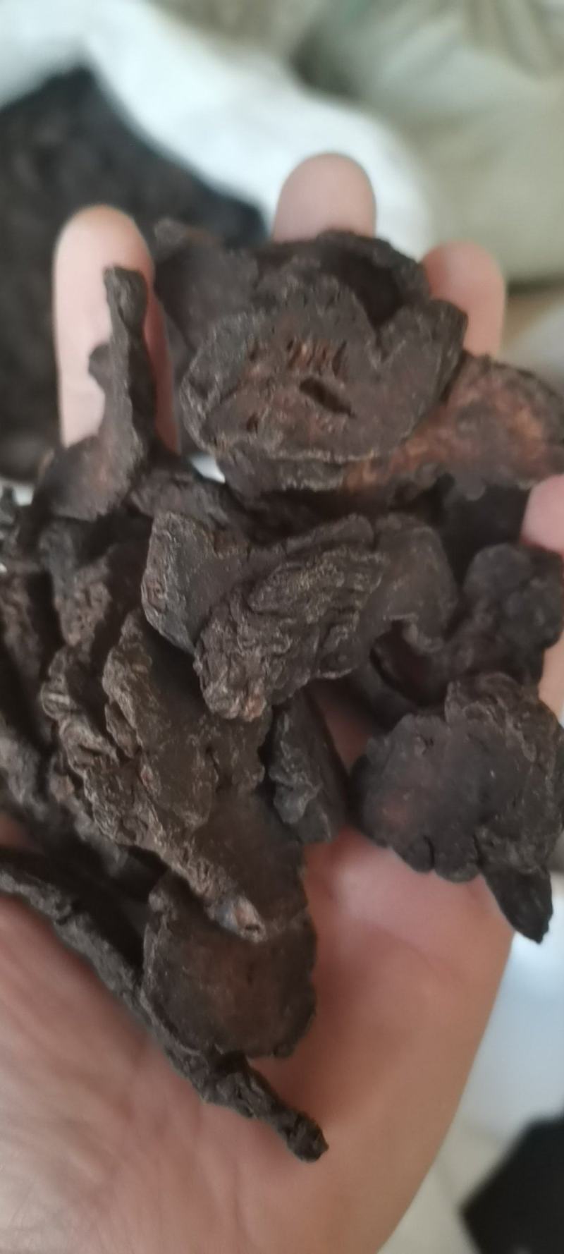 中药材生地黄河南焦作正宗生地黄生地熟地生地片批发