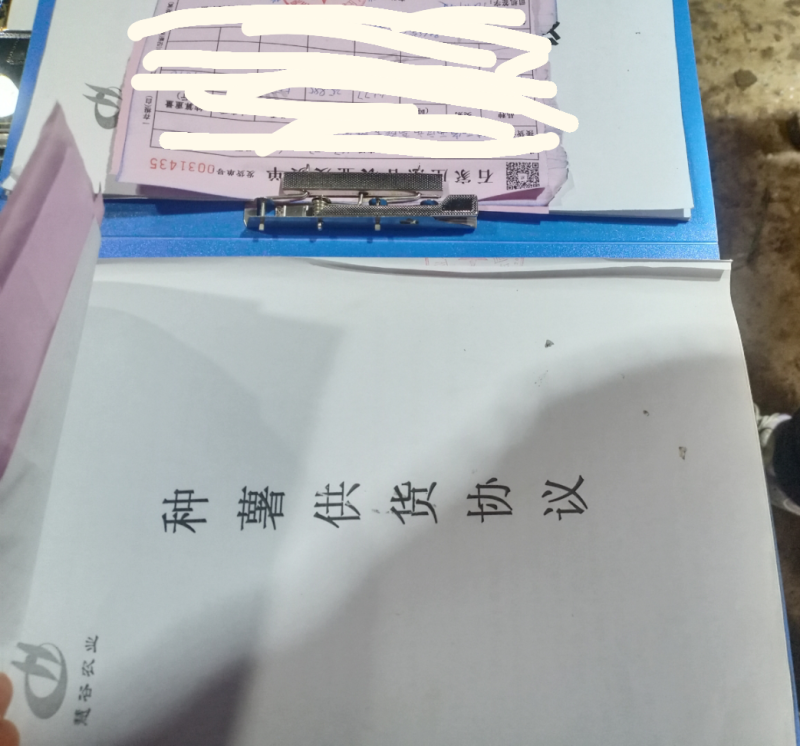 慧谷原种一代高产脱毒秦薯五号板栗红薯苗，全程技术指导。