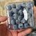 蓝莓-珠宝蓝莓瑞卡蓝莓一手货源保质保量色泽美