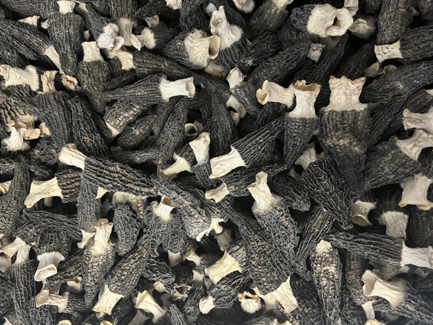 黑羊肚菌用于中式炖汤(左),白羊肚菌用于西式意面(右) 黑羊肚菌与白羊肚菌在不同菜系中的应用