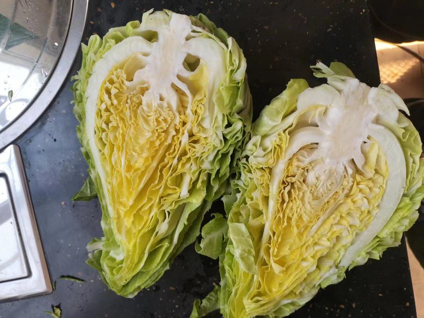 牛心甘蓝切开内部结构