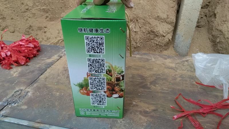 精品西红柿礼盒装。