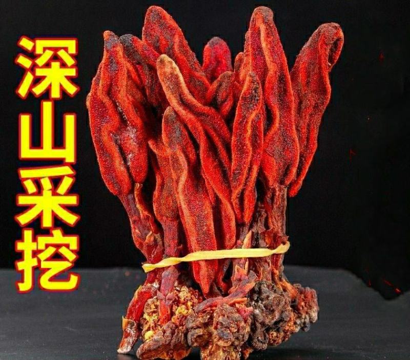 回春草中药材云南野生回春草不老草泡酒泡茶煲汤包邮