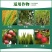 沪联多效唑通用矮化控旺控梢增产控制生长植物生长调节剂