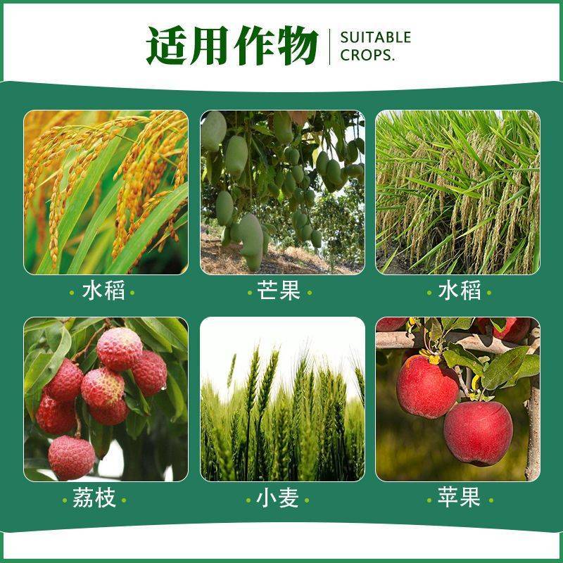 沪联多效唑通用矮化控旺控梢增产控制生长植物生长调节剂