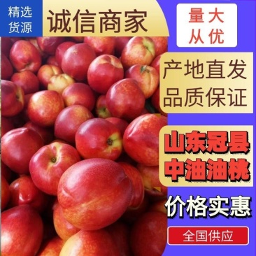 冠县大棚油桃基地上市大量供应中油四号五号十八十九诚信天下