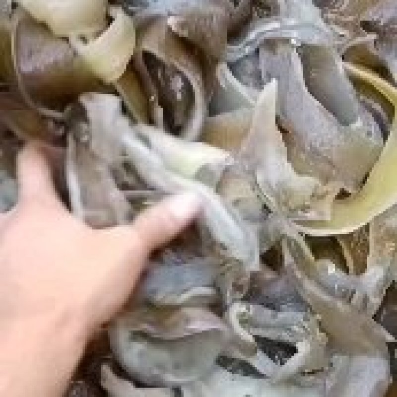 水鱼裙边，也叫甲鱼裙边，水鱼边，龟鳖边，鳖边，