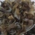 水鱼裙边，也叫甲鱼裙边，水鱼边，龟鳖边，鳖边，