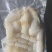 红鱼肚