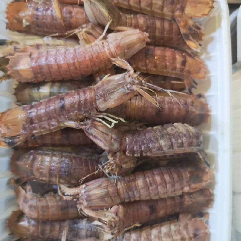 虾姑，皮皮虾，虾扒仔，虾姑仔，长爪虾姑