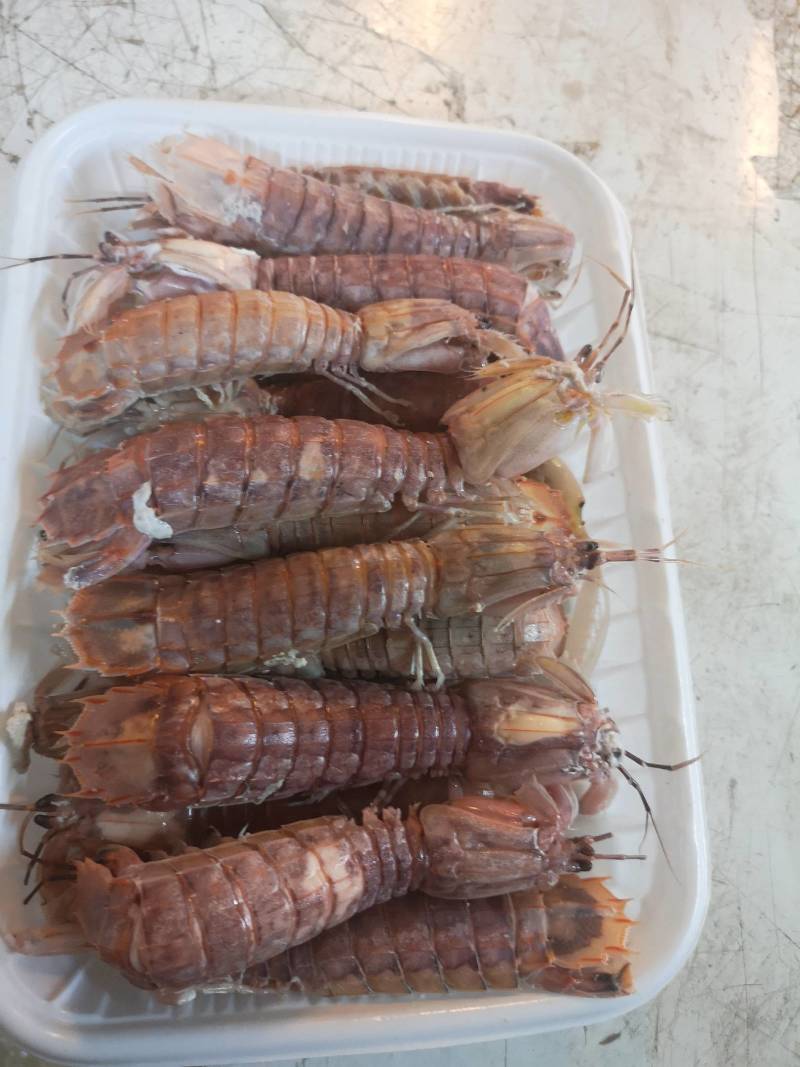 虾姑，皮皮虾，虾扒仔，虾姑仔，长爪虾姑