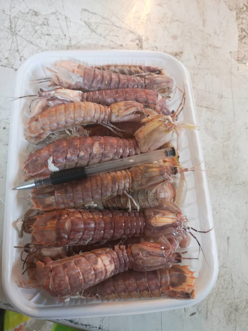 虾姑，皮皮虾，虾扒仔，虾姑仔，长爪虾姑