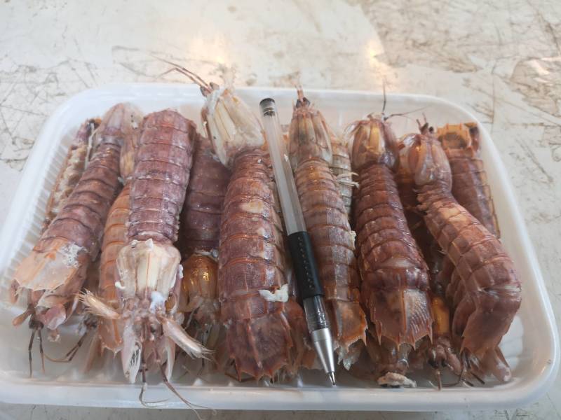 虾姑，皮皮虾，虾扒仔，虾姑仔，长爪虾姑