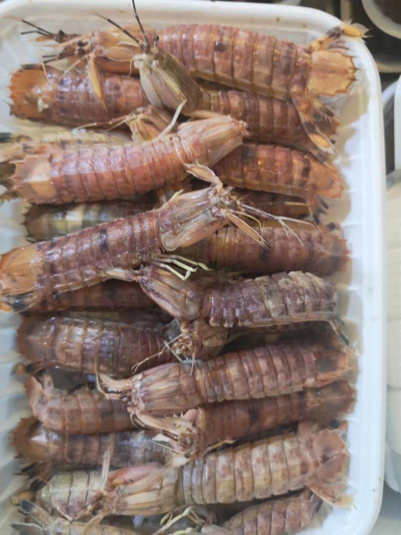 虾姑，皮皮虾，虾扒仔，虾姑仔，长爪虾姑
