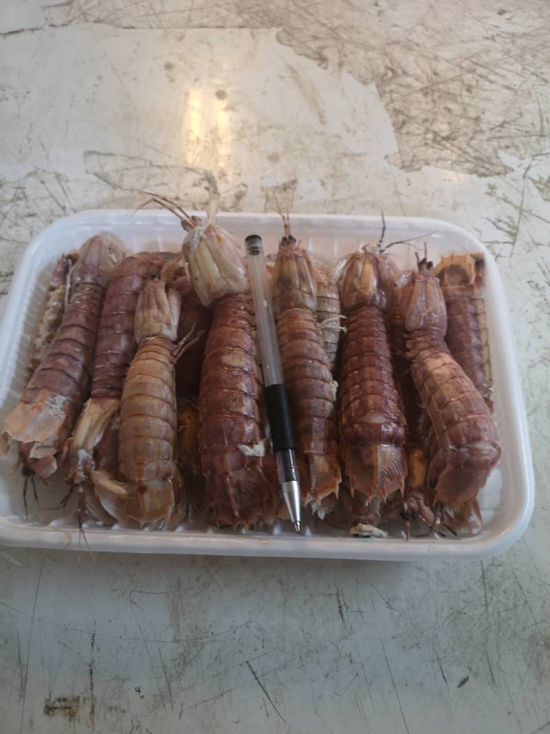 虾姑，皮皮虾，虾扒仔，虾姑仔，长爪虾姑