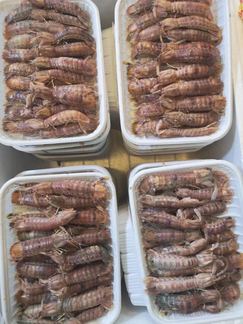 虾姑，皮皮虾，虾扒仔，虾姑仔，长爪虾姑