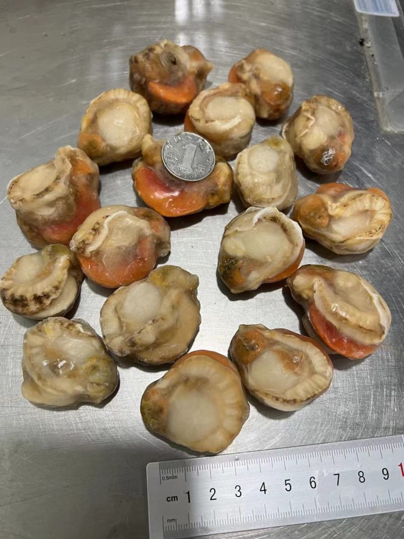 扇贝肉，价格便子，货量充足，干冰和冰衣常年有货，各种规格