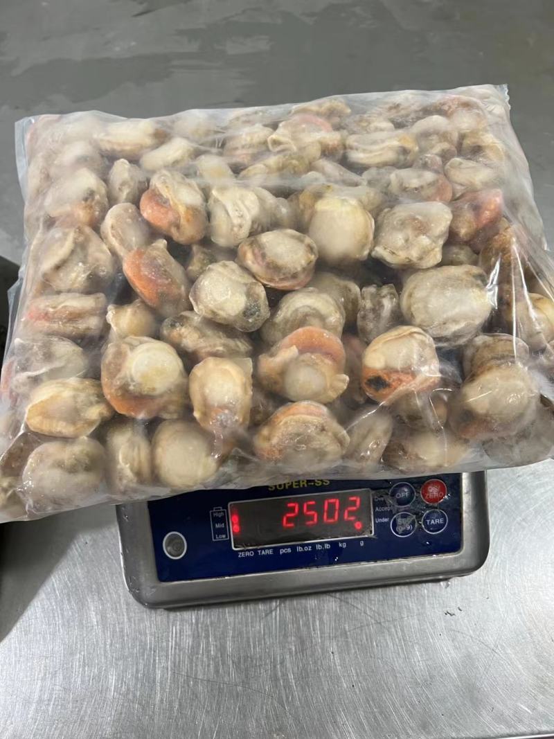 扇贝肉，价格便子，货量充足，干冰和冰衣常年有货，各种规格