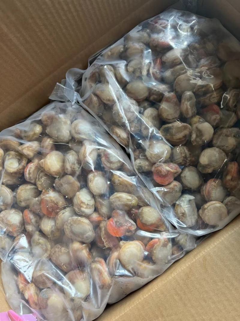 扇贝肉，价格便子，货量充足，干冰和冰衣常年有货，各种规格