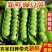 新鲜豌豆荚嫩豌豆角甜豌豆长寿仁豌豆电商青豌豆荚