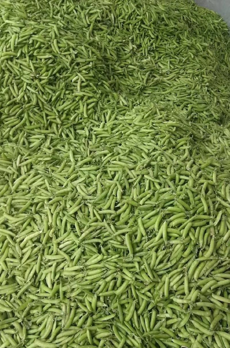 新鲜豌豆荚嫩豌豆角甜豌豆长寿仁豌豆电商青豌豆荚