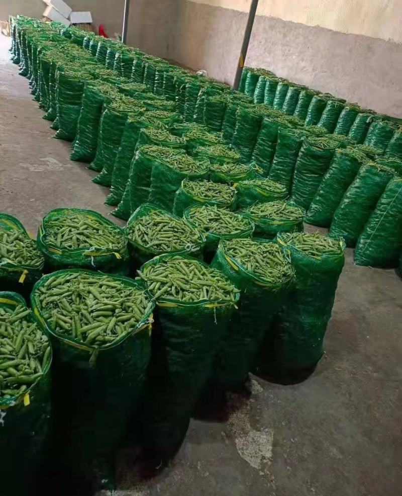 新鲜豌豆荚嫩豌豆角甜豌豆长寿仁豌豆电商青豌豆荚