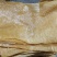响铃卷专用油炸豆油皮厂家对接全国代发可联系