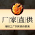 一件代发面藕燕麦筋网红吸汁大面藕，全国发货