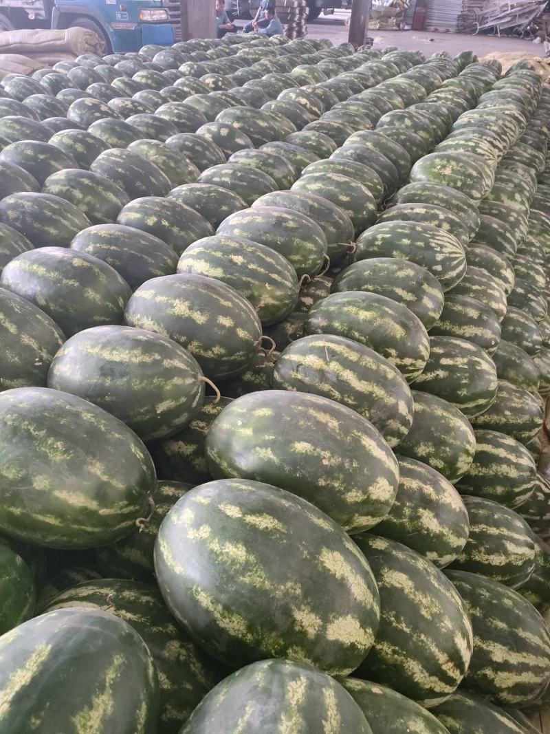 《高品质》皮二大量上市中，保质保量，物美价廉！诚信可靠