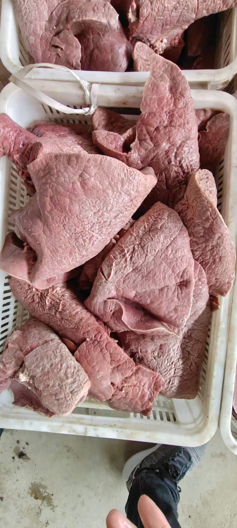【视频看货牛肺】纯熟牛肺山东源头直供无任何添加剂欢迎来电