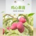 新品种沙果鸡心果树苗盆地栽锦绣海棠小苹果苗嫁接苗南方北方
