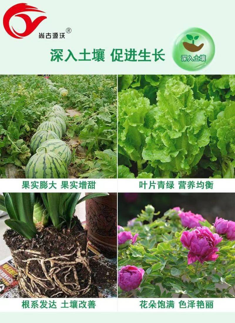 生物有机菌肥，活化土壤，防止土壤板结，生根护根，防死棵。