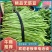 【牛商推荐】芸豆，四季豆，无筋豆，基地供应，欢迎订购