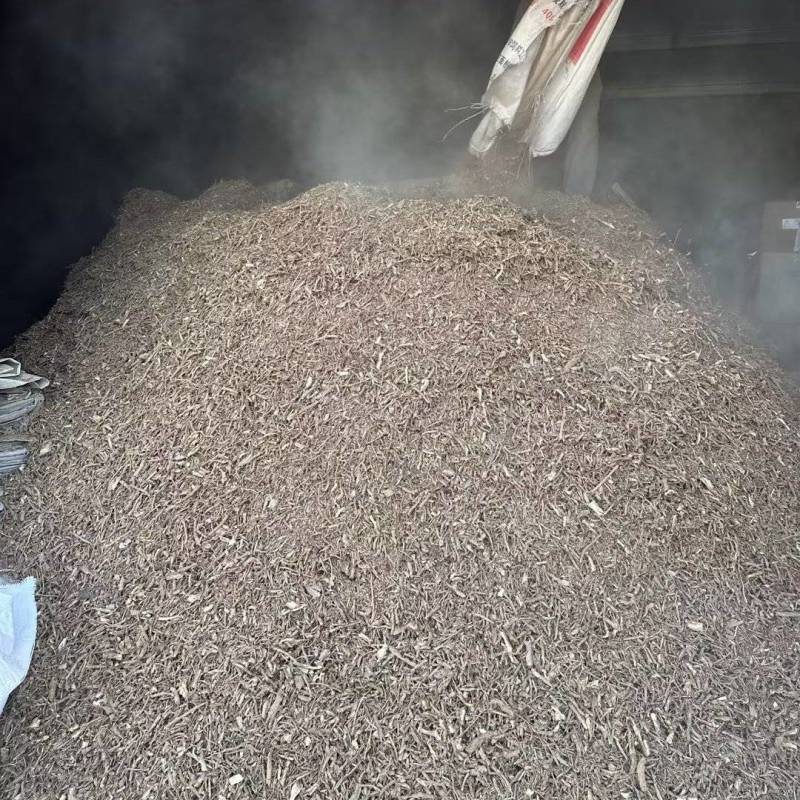地骨皮