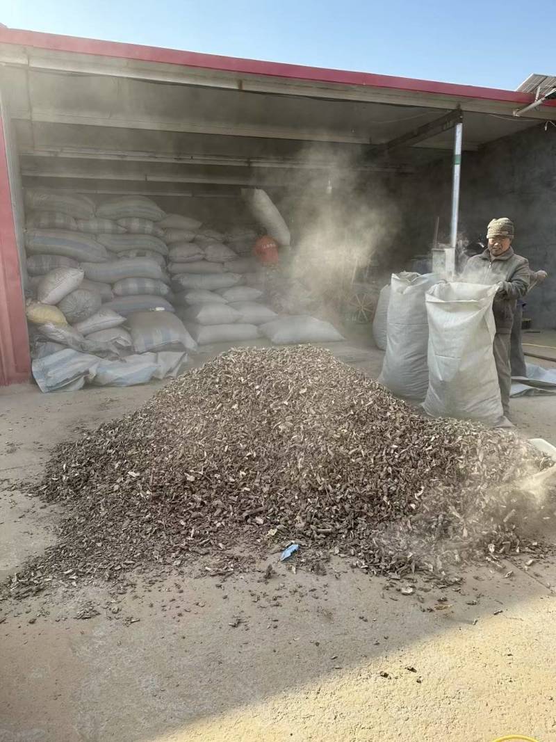 地骨皮