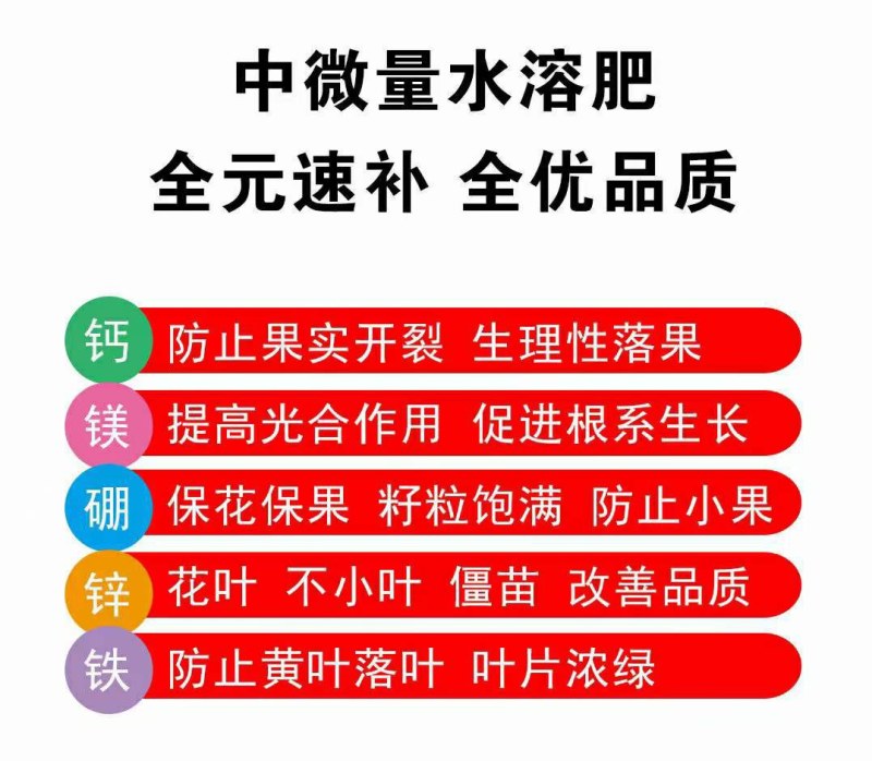 中量元素水溶肥！钙镁硼锌铁，五种元素同时补！全面营养