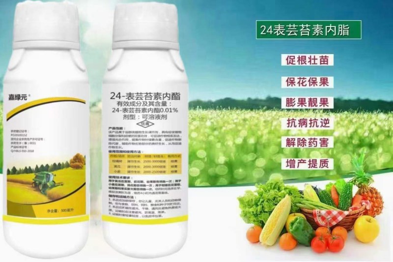 芸苔素内酯！厂家直销！苗齐苗壮！促根壮苗！提高坐果率！