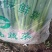精品小葱大量上市