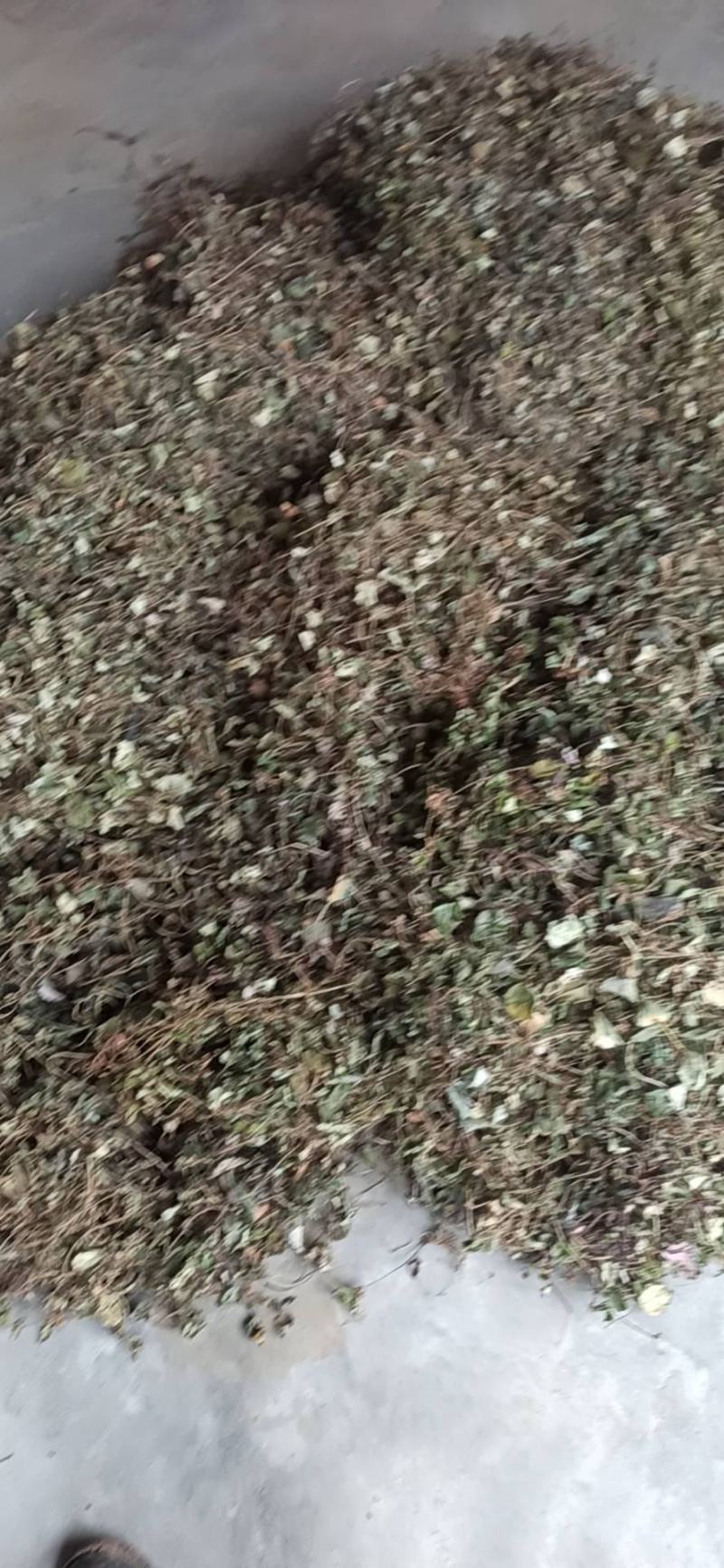 野生金钱草全干货无泥土无杂质剑阁货源直发价格可谈