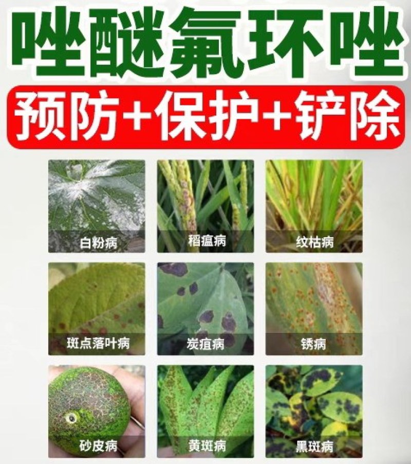 20%唑醚氟环唑！高含量！专打：锈病，白粉，叶斑，赤霉病