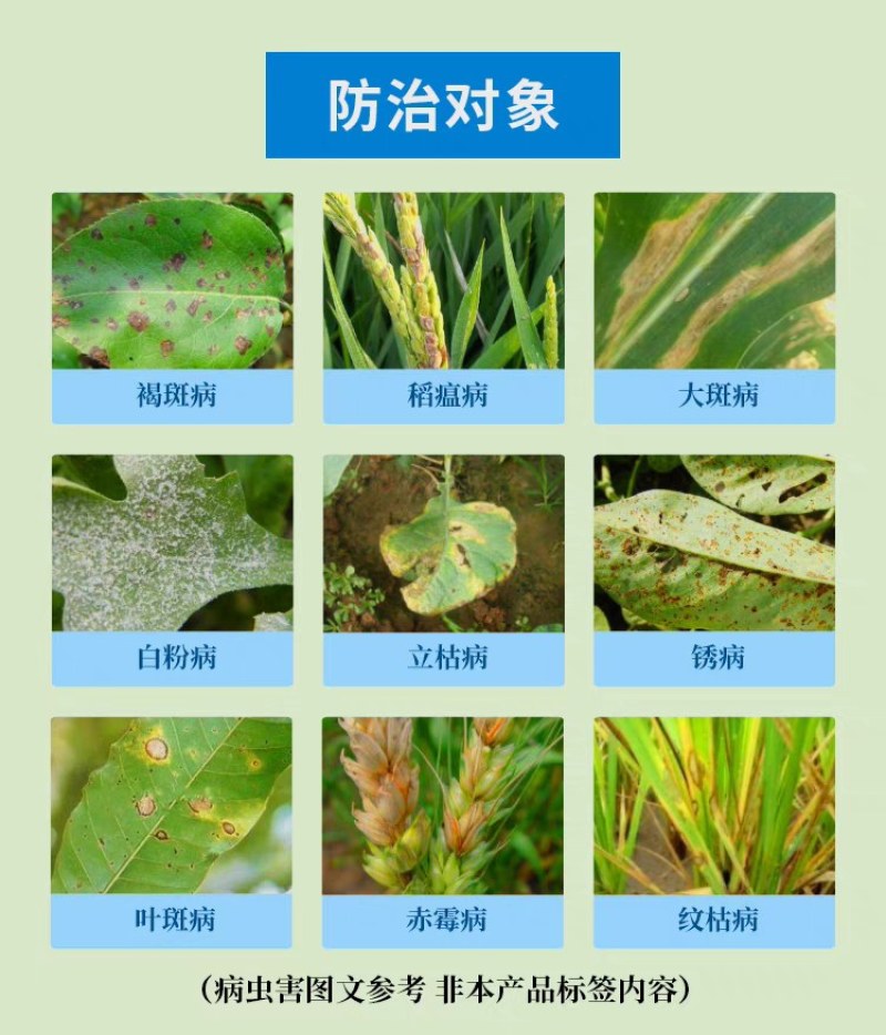 20%唑醚氟环唑！高含量！专打：锈病，白粉，叶斑，赤霉病