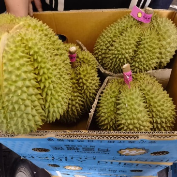树熟空运甲仑，干包大黄肉，香甜软糯，一件代发