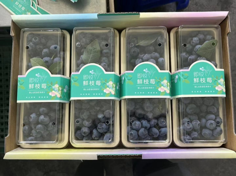 蓝莓包装盒厂家直销