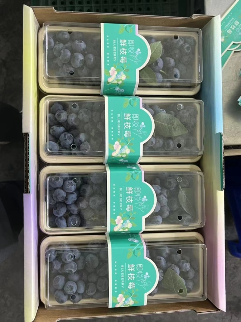 蓝莓包装盒厂家直销