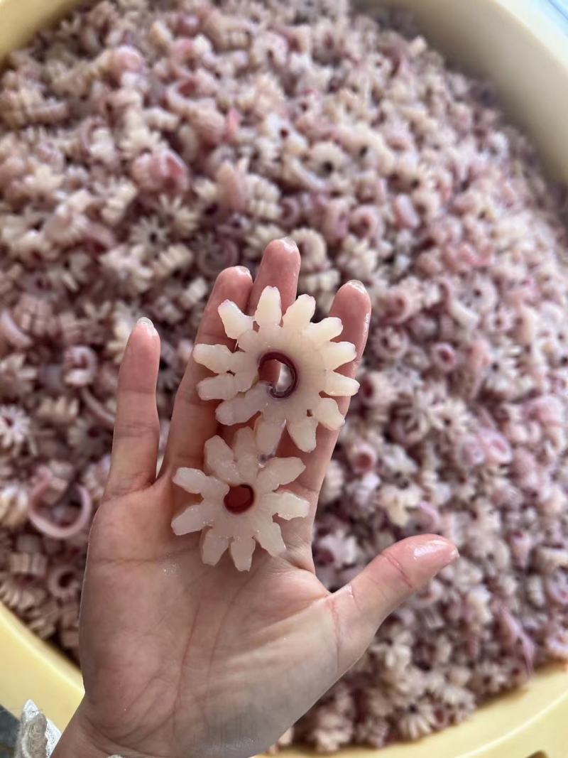 鱿鱼齿轮花，做工精细，口感好，品质高，价格便宜，可以定制