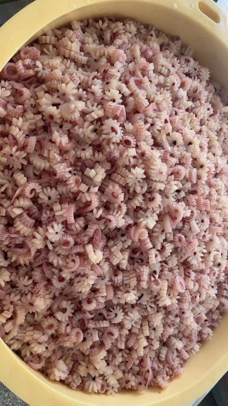 鱿鱼齿轮花，做工精细，口感好，品质高，价格便宜，可以定制