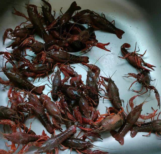 新鲜小龙虾摆盘待烹饪